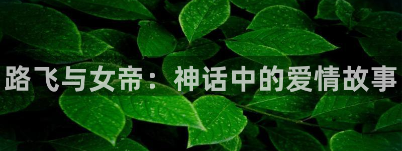 耽漫网：路飞与女帝：神话中的爱情故事