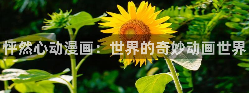 耽耽漫网：怦然心动漫画：世界的奇妙动画世界